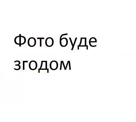 Емаль аерозольна ТМ Лідер універсальна св.-оливковий МАТ 6040 400 мл 1/12/1